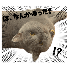 URU_20260521082045
