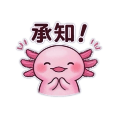 m-cha_20260521081155