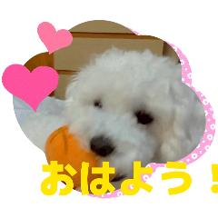 koko_20260521090850