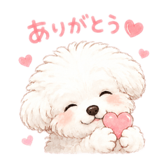 popo_20260521093458