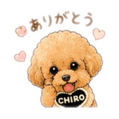 chiemii_20260521094114