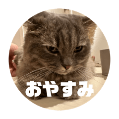 kepi_20260521101247