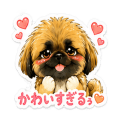 pyon_20260521101452