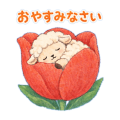 Furura_20260521100724
