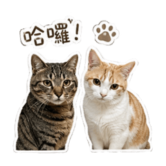 Hupi & jutang
