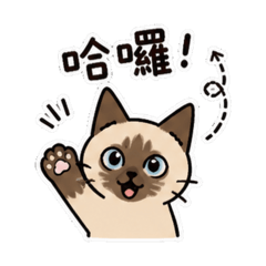 巧比 日常篇