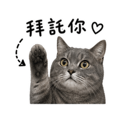 Seven誰悶日常（貳）
