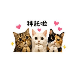 饅頭黑糖花生
