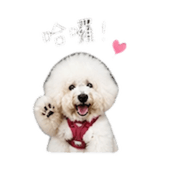 徐mo
