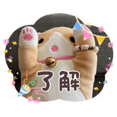 Nyan ko bou_20260510102711