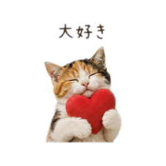 komariko_20260521110051