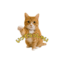 nayutanayu_20260521111520