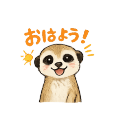 Meerkat&nbsp; &nbsp;TOMO