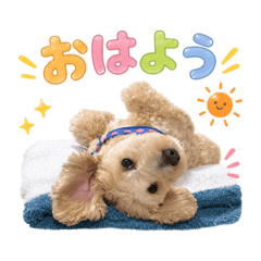 Yuka_20260521113806
