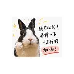 湯圓的日常（吧…）2
