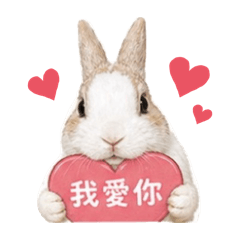 碗糕