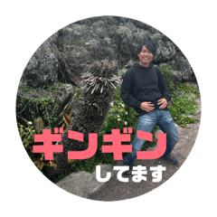 kashiOkashi_20260521123002