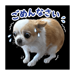 Ryouta_20260521124024