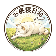shiba-dog sakura