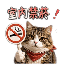 喵喵旅宿用語