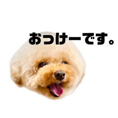 nao_20260521131715