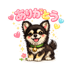 Lulu the Chihuahua