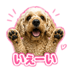mako_20260521133523