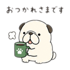 onion_20260521082203
