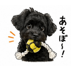Omame_20260521133806