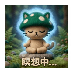 瞑想きのこ猫・キニャモコのゆる〜い日常2