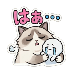 Chill Ragdoll Reply Stickers