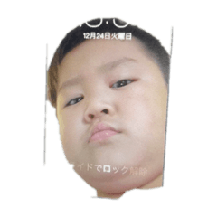 t_20260521145204
