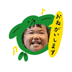 scb"_20260521145929