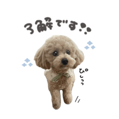 こまくん☆BlueStandard