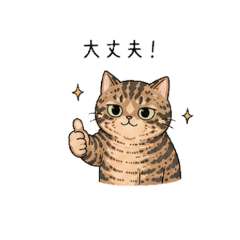 Midnight Words from the Cat