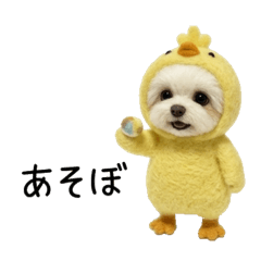 aiaichaaaaan_20260526093621