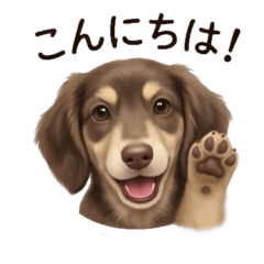 dog tumu