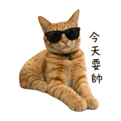 Ruby是隻貓
