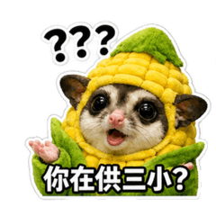 玉米蜜袋鼯