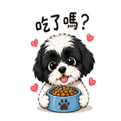 小琦的幸福小天地12