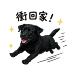 膽小的歐欸