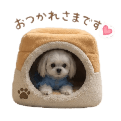 nao_20260521154028