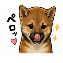 nakamura_20260521161445