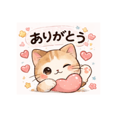 mimi_20260521155601