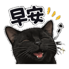 黑貓歐圓の生活