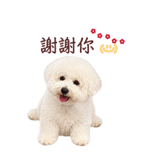 Q比比七個月