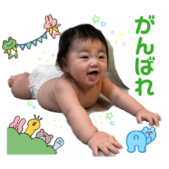 Daimama_20260510145649