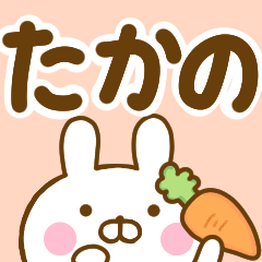 Rabbit Usahina takano