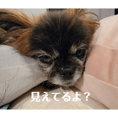 aoi_20260520145753
