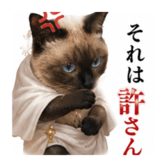momo_20260521165942